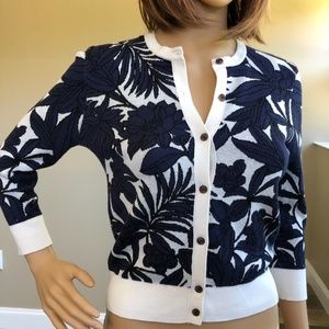 ANN TAYLOR PETITE